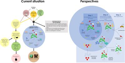 The unseen effect of pesticides: The impact on phytobiota structure and functions